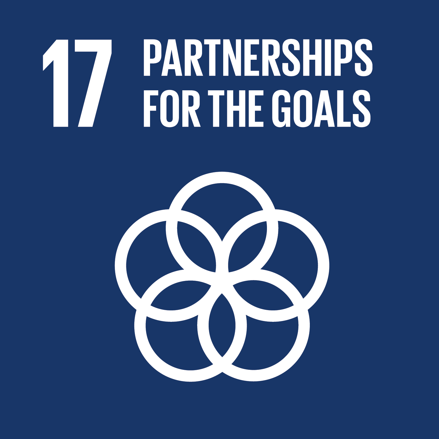 Partnerships For the Goals - Revitalize the global partnership for sustainable development